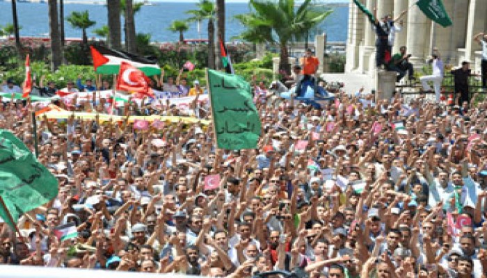 100 ألف يتظاهرون في الإسكندرية والدقهلية من أجل غزة