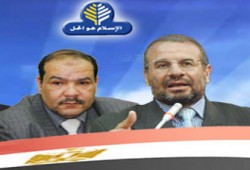 دعوى لتنفيذ حكم وقف انتخابات حلوان والجيزة