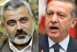 أرودغان لـ"هنية": نحن مع غزة مهما كان الثمن