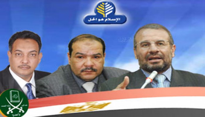 انتخابات "الشورى".. حلوان والجيزة والمنيا