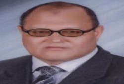 حمدي رضوان: مشاركتنا أعطت "للشورى" طعمًا