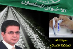 دسوقي: ترشحي لرد جميل شعب طوخ والقناطر