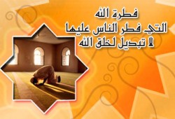 الهداية لا تغيب والقيادة تحيد أو تصيب