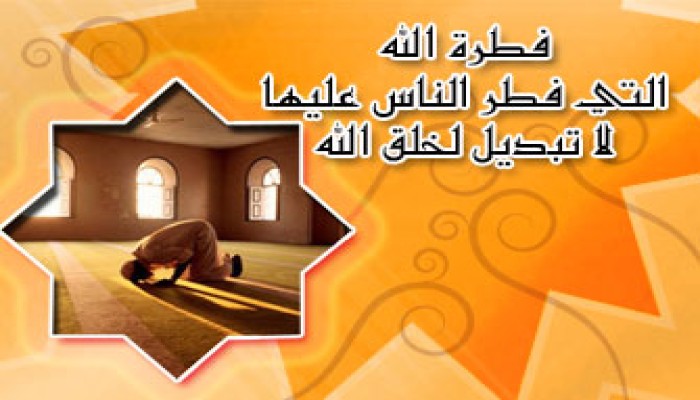 عندما تنتكس الفطرة