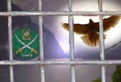 قرار اعتقال لأحد إخوان كفر الشيخ