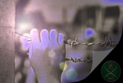 الإفراج عن أحد قيادات الإخوان بالدقهلية