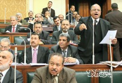 نواب الإخوان يرفضون قانون شراكة الخاص