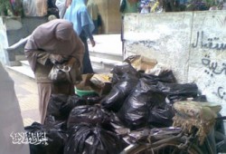 طالبات الإخوان ينظمن حملة نظافة بتربية دمنهور