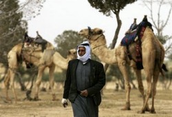 خبراء يحذرون من خطورة تجاهل بدو سيناء