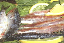 موسم الأغذية الفاسدة.. الرعب السنوي؟