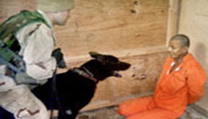 الاحتلال الأمريكي يسرق أعضاء المعتقلين بالعراق