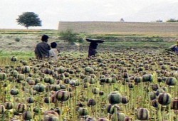 سيناء.. أرض الفيروز المهجورة!!