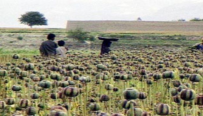 سيناء.. أرض الفيروز المهجورة!!