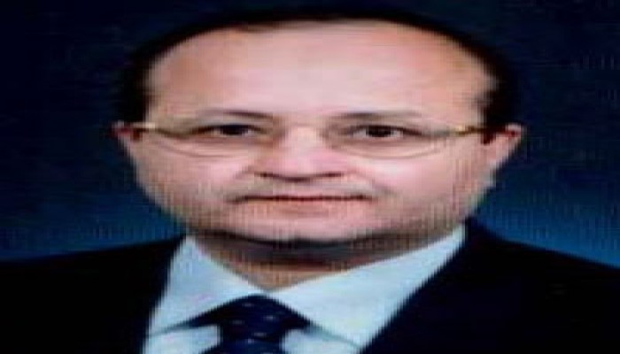 التحالفات المصرية والتفرقة العنصرية