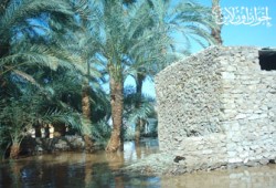 نواب الصعيد ينتقدون التقاعس في حل أزمة السيول