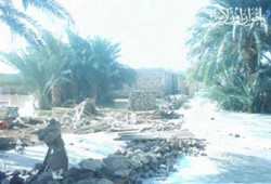نواب الإخوان يتفقدون متضرري سيول أسوان