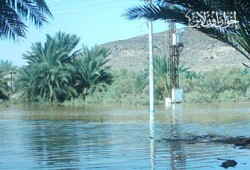 حمدي حسن: الفساد وراء تفاقم كارثة السيول
