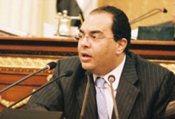 محيي الدين يزيح شركات الزراعة والري من وزارته