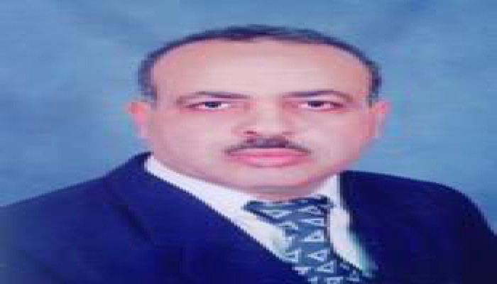يوم عرس محامي لجنة الشريعة بالقليوبية