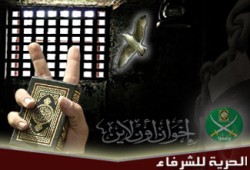 اعتقال 12 من إخوان الإسكندرية!!
