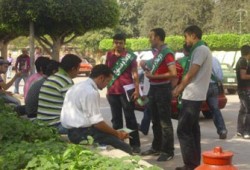 طلاب البحيرة والزقازيق يدشنون حملة أخلاقية