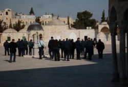 جماعات يهودية تقتحم باحات المسجد الأقصى