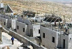 منظمتان صهيونيتان تخططان لإقامة 11 مغتصبة بالضفة