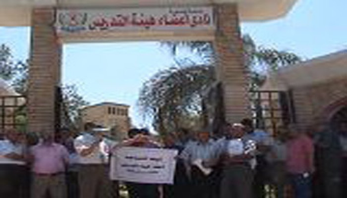 غدًا.. وقفة احتجاجية لأساتذة جامعة المنصورة