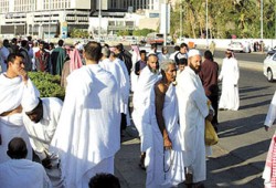 فتاوى تأجيل الحج والعمرة.. الفقه والطب معًا