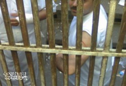 عرض 5 من معتقلي البحيرة على الطب الشرعي