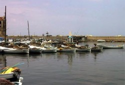 المعوقات التي تواجه الثروة السمكية بكفر الشيخ واقتراحات حلها