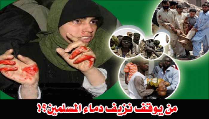 السبيل إلى حقن دماء المسلمين