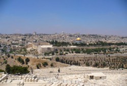 الاحتلال يشرد 53 أسرة جديدة بالقدس!
