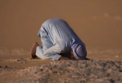 سفينة الساجدين