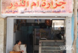 ذبح الخنازير.. التلاعب بحياة المصريين