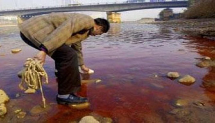 استجوابان لرئيس الوزراء عن تلوث مياه النيل