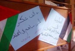 إحالة 5 طالبات إلى التحقيق وسرقة علنية بآداب طنطا