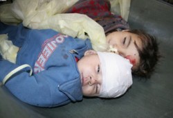 في غزة شهادة