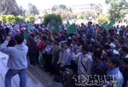 "انتصرت غزة" مهرجان لطلاب المنيا