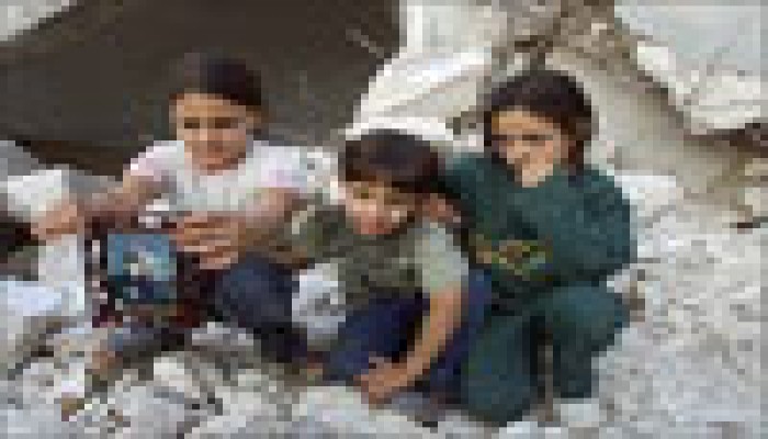 الاحتلال يهدم منزلين ويقتلع أشجار الزيتون في النقب