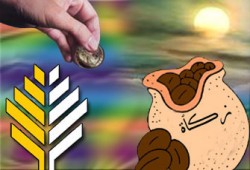 زكاة مال القاصر من الميراث