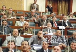 مواجهة بين نواب الإخوان والحكومة بسبب الغاز والقطن
