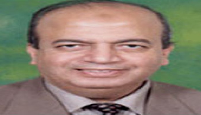 إلى غزة الشامخة