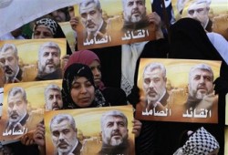 حملة تضامنية مع أهالي غزة بالتليفونات والإيميلات