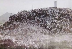 حج الشباب.. الفريضة قبل الزواج أحيانًا