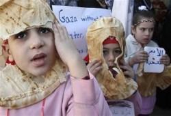 "مشروع الأضاحي".. التسابق إلى نصرة غزة