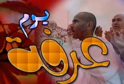 وقفة عرفة.. مظهر الوحدة الإسلامية الجامعة