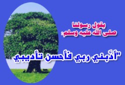 التربية الخلقية