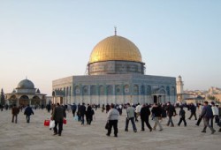 حب وفداء