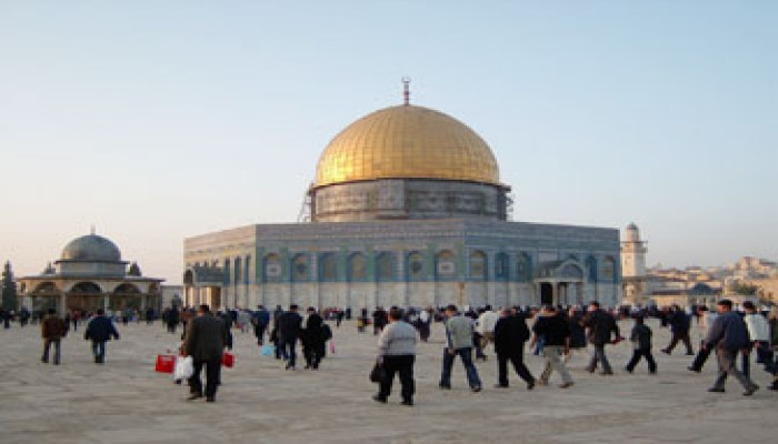 حب وفداء